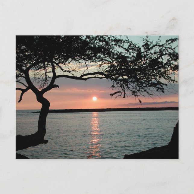 Carte Postale Sunset Carmel, Ca. (Devant)