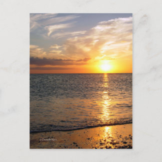Carte postale Sunset d'août