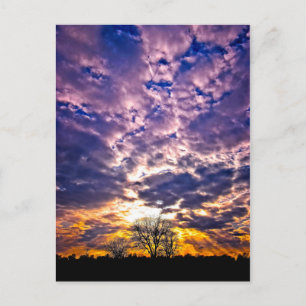 Carte postale Sunset hiver