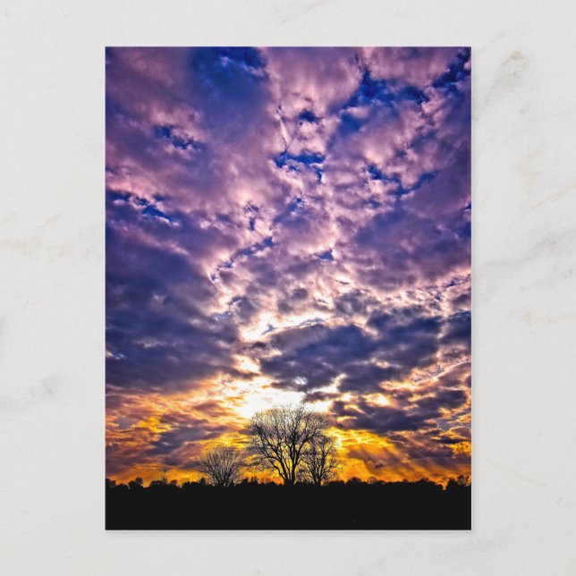 Carte postale Sunset hiver (Devant)