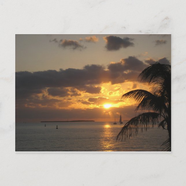 Carte Postale Sunset Key West, Floride (Devant)