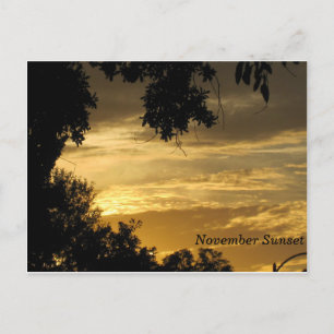 Carte postale Sunset novembre