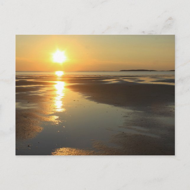 Carte Postale Sunset Wellfleet Bay Wildlife Sanctuary Cape Cod (Devant)