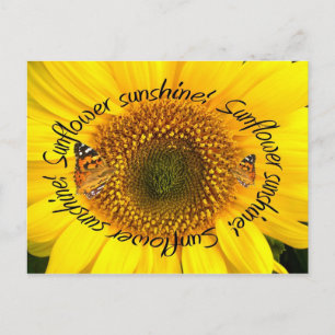 Carte Postale SUNSHINE DE SOLEIL DU SOUFFRE ~ POstcard