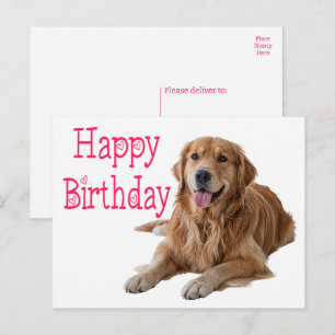 Carte Postale Super Golden Retriever Chien Chien Chien Chien Chi