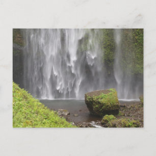 Carte Postale Superbe cascade de l'Oregon