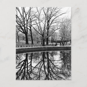 Carte Postale Superbe paysage hivernal à Central Park