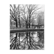 Superbe paysage hivernal à Central Park