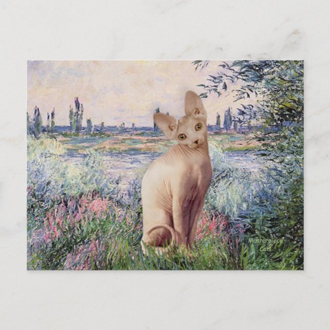 Carte Postale Sur la Seine - Crème Sphynx chat (Devant)