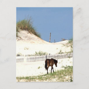 Carte Postale "Sur le bord"