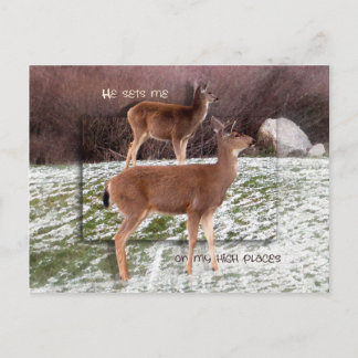 Carte Postale Sur les hauts lieux