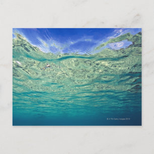 Carte Postale Surface d'une mer topique claire vue de