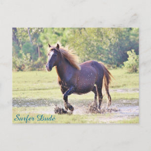 Carte Postale Surfer Dude Wading