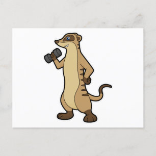 Carte Postale Suricate à l'entraînement de force avec Haltère