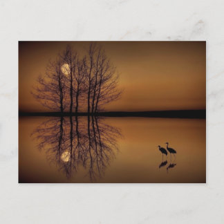 Carte postale surréalisme