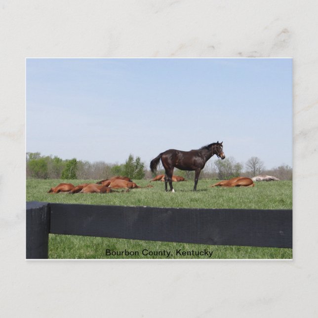 Carte Postale Surveillance (Devant)