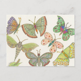 Carte Postale Survivaces Hub Series #4 Papillons