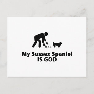 Carte Postale Sussex Spaniel