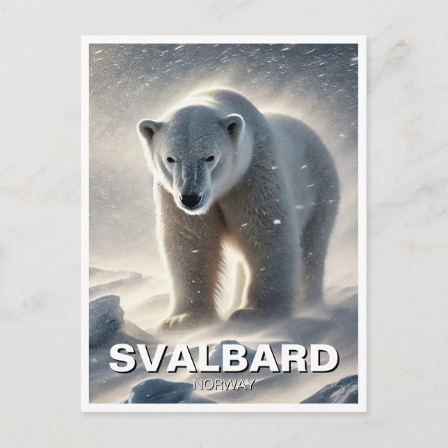 Carte Postale Svalbard de neige à l'ours polaire Norvège (Devant)