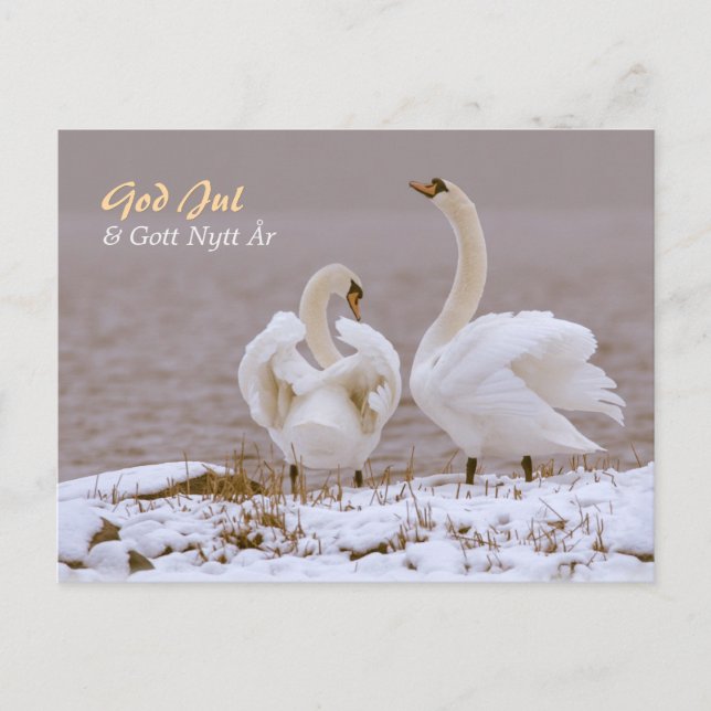 Carte Postale Svanpar i nysnö CC0804 Julhälsning (Devant)