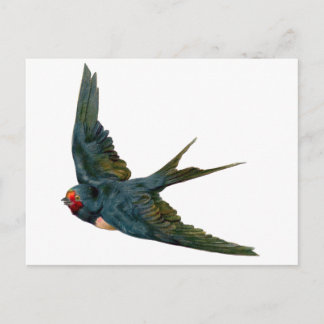 Carte Postale Swallow