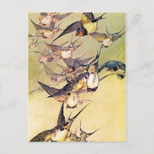 Carte Postale Swallows (Devant)