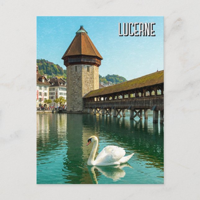 Carte Postale Swan à Lucerne Suisse Voyage (Devant)