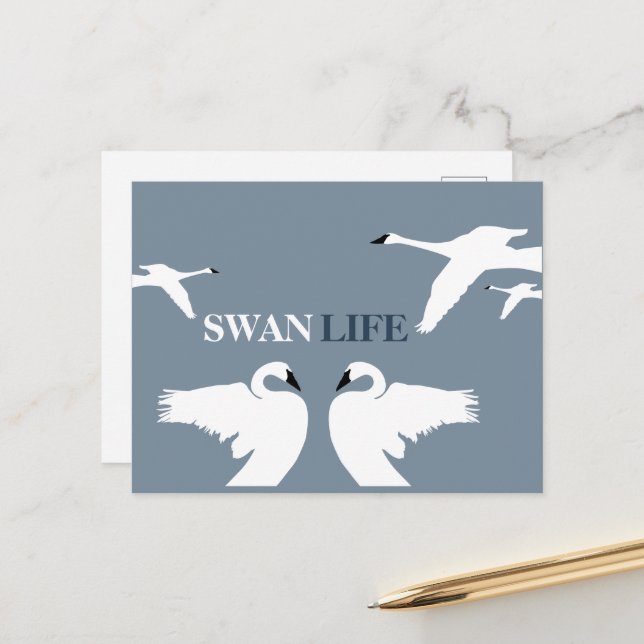 Carte Postale Swan Life (Devant/Arrière en situation)