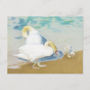 CARTE POSTALE SWANS