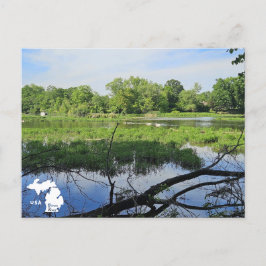 Carte Postale Swans de Metropark Oakland avec logo
