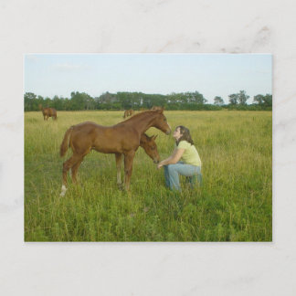 Carte postale Swapping Spiritueux