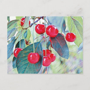 Carte postale Sweet Cherries