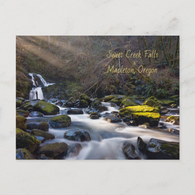 Carte postale Sweet Creek Falls Oregon (Devant)