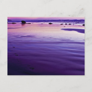 Carte Postale Sweet Dreams - Bandon, Oregon