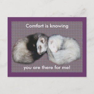 Carte Postale Sweet Dreams Ferrets