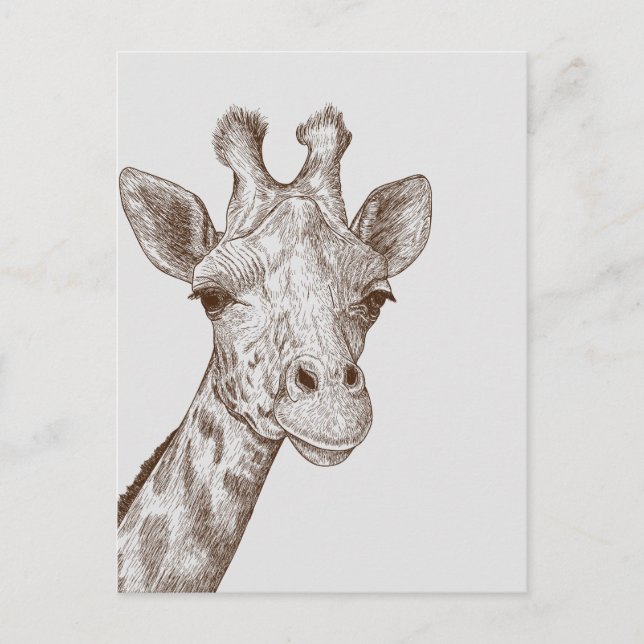 Carte Postale Sweet Giraffe Face (Devant)