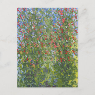 Carte Postale Sweet Peas 2014