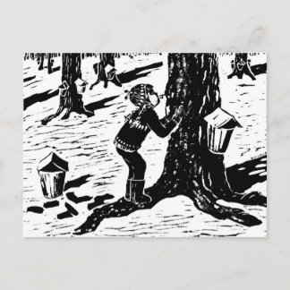 Carte postale Sweet Sap