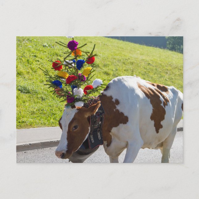 Carte postale Swiss Cow (Devant)