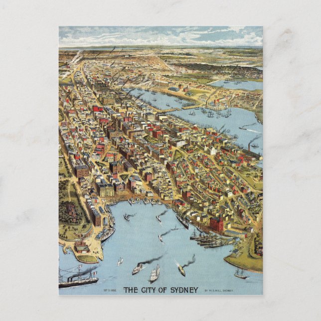 Carte Postale sydney1888 (Devant)