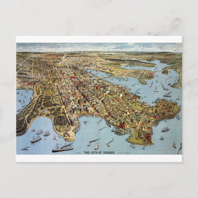 Carte Postale sydney1888 (Devant)