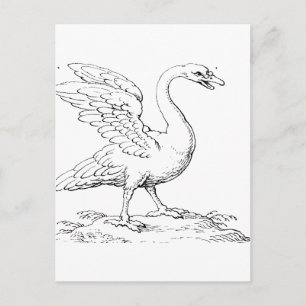 Carte Postale Symbole de l'amour et de la fidélité Swan Fine Art