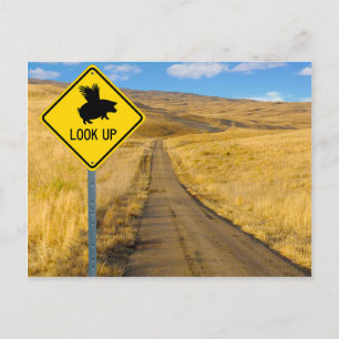 Carte Postale Symbole de porc volant