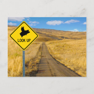 Carte Postale Symbole de porc volant