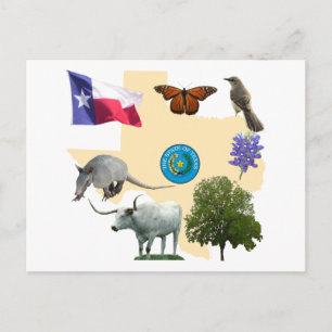 Carte Postale Symboles d'état du Texas