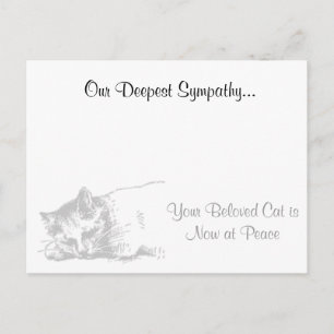 Carte Postale Sympathie des vétérinaires chats
