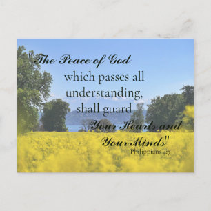 Carte Postale Sympathie du lac Meadow Hill aux fleurs jaunes ins