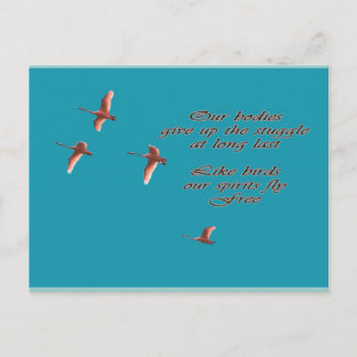 Carte Postale Sympathie Que Vous Trouviez Des Cygnes De Trupteur