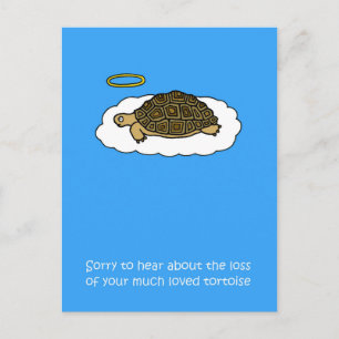 Carte Postale Sympathie sur la perte de la tortue des animaux