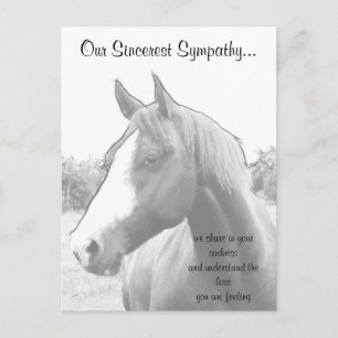 Carte Postale Sympathie Vétérinaire du cheval